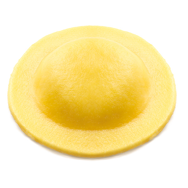Toi2002 Agnolotti al Parmigiano Reggiano