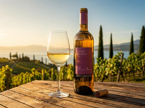 TOI4003 Pinot Grigio - Gusto39