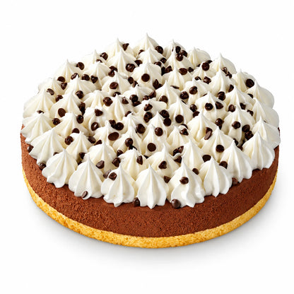 Tarta helada de chocolate 850 g con rosetas de nata, gotas de chocolate, helado de chocolate y base de bizcocho, sobre fondo blanco
